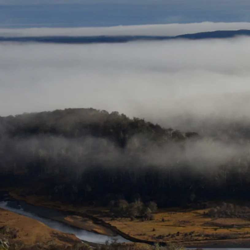 AI for Biodiversity Measurement - Advancing Nature Finance