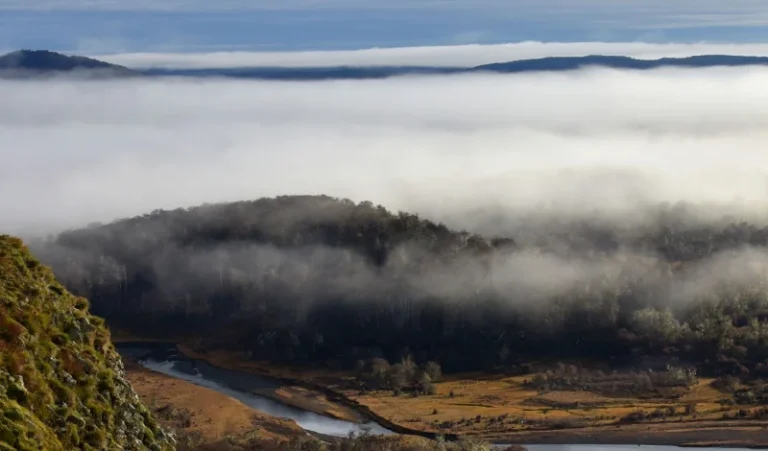AI for Biodiversity Measurement - Advancing Nature Finance
